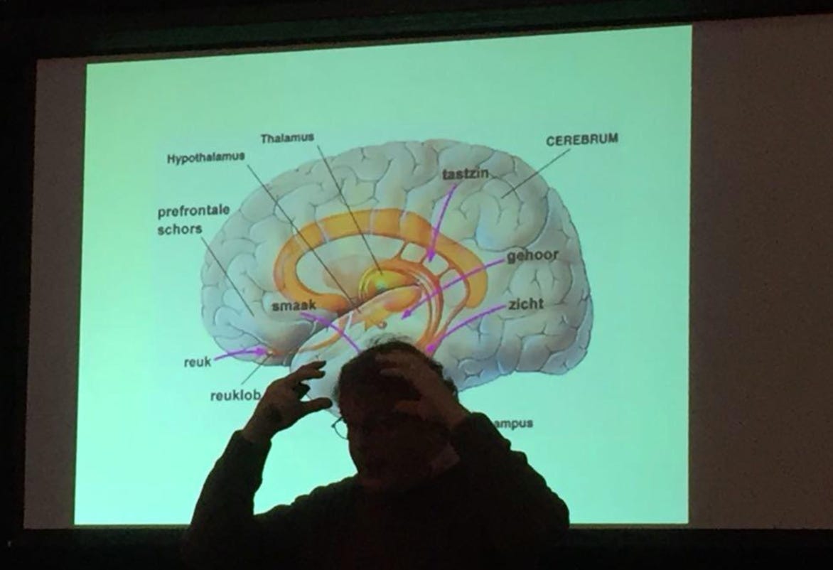 Interview Leo Wolfs PianoVrienden